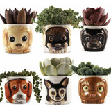 Window Garden Macetas Con Figuras De Animales Juego De 6 Mac