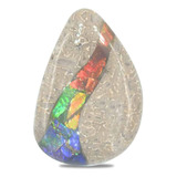 Hueso De Dinosaurio Fósil Con Incrustaciones Ammolite 30 Mm