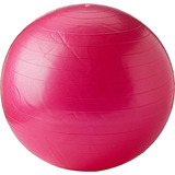 Professional Fisioball Fisiopauher 55cm Com Dvd E Bomba