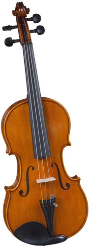 Violin Estudiante Amvl007 4/4 Atigrado Amadeus Envio 