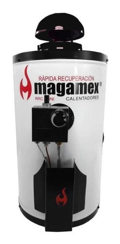 Calentador De Gas Lp Boiler De Paso 4.5 Litros Magamex Color Blanco Tipo De Gas Glp