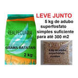 Sementes De Grama Batatais (2 Kg) + 5 Kg De Adubo (p/ 300m2)