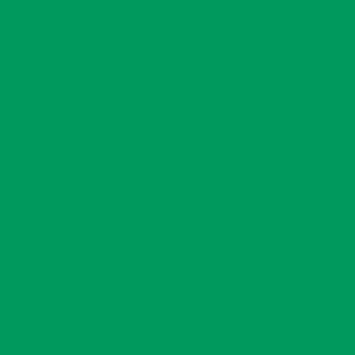 Craft E Vinyl - Matte Green 12    X 40 Ft Removable Adhesive