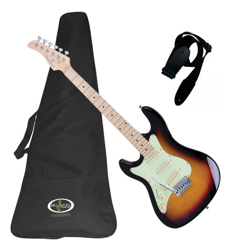 Guitarra Stratocaster Strinberg Sts100 Kit Capa Luxo+correia