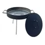 Disco Arado Paellera Ø50cm Con Tapa Desmontable | Envío gratis
