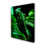 Cuadro 50x75cm Iguana Reptil Lagartija Fauna M2