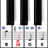 Piano, Pegatinas Para Teclas  Extraíbles Con Doble Capa.