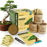 Bonsai Starter Kit - El Kit De Cultivo Completo Para Cultiva