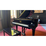 Gran Piano Steinway And Son