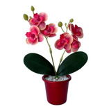 5 Galhos De Flor Artificiais Mini Orquideas Lindas P Decorar