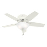 Hunter Fan Company 51080 Newsome Ventilador De Techo Con Luz