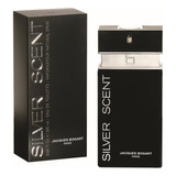 Perfume Silver Scent 100ml Eau De Toilette Original