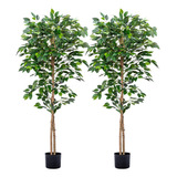 2 Paquetes De Árboles De Ficus Artificiales Hojas Real...