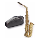 Saxo Alto Stagg De Estudio  Eb  Llave F Estuche Wsas215s