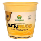 Fertilizante Frutas Nutrifrutas Vitaplan 500g 1 Un