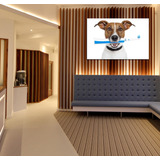 Vinilo Decorativo 60x90cm Odontologia Funny Dog Dentista