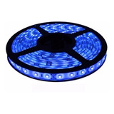 Tira De Led 2835 Color Azul  - Rollo X 5 Mts - Interior