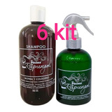 6 Kit Shampoo Formula Rapunzel  El Original  