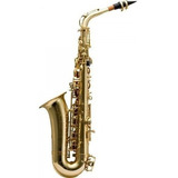Saxofone Alto Harmonics Has-200l Novo Completo