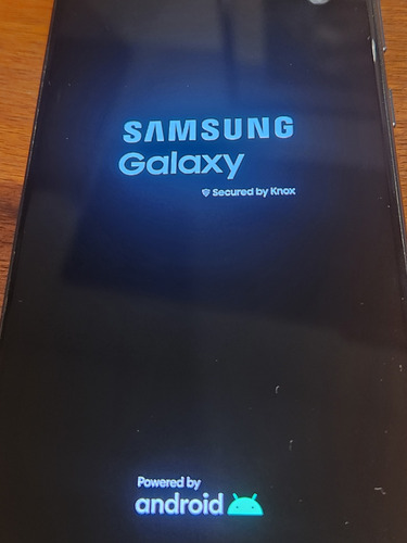 Celular Samsung S21fe Como Nuevo