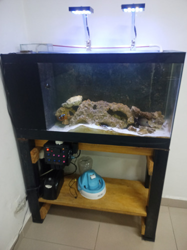 Aquário Marinho 140 Lts + Sump