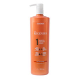 Essendy Regenera Shampoo Purificante 1l