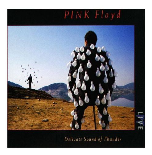 Pink Floyd - Delicate Sound Of Thunder (2cd) | Cd