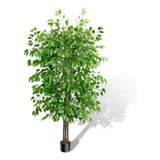 Árbol De Ficus Artificial Alto De 6 Pies, Árbol De Hojas De 