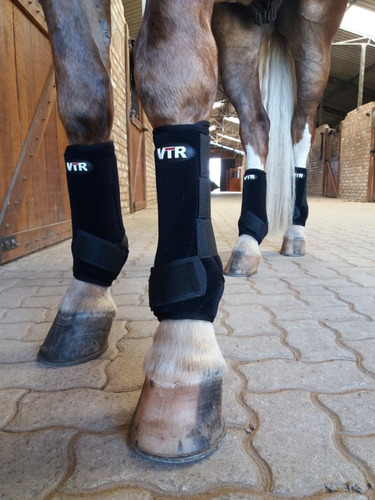 Splint Boots Rc Para Cavalo Vtr Ventury