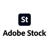 1 Ativo Padrão - Adobe Stock 