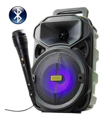 Caixa De Som Bluetooth Portátil Grande 30cm Com Microfone