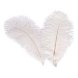 Plumas De Avestruz Blanca Naturales Decoración 15-20 Cms