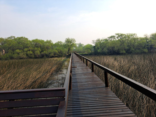 Terreno En Venta En Islas Del Delta De Tigre 