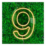 Painel Neon Numero Nove 9 Instagram Iluminação Branco 50cm