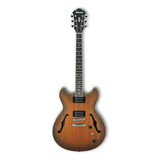 Caja Sólida De Guitarra E Guitarra Eléctrica Ibanez As53tf, 