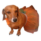 Saia Tutu Pet Dog Halloween