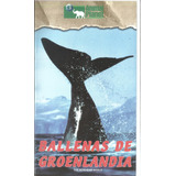 Vhs Ballenas De Groenlandia  // Animal Planet.. 