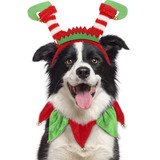 Boombone Dog Outfit Diadema Y Collar Para Mascotas
