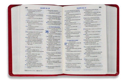 Biblia Rvr60, Mediana, Imitación Piel Rosa, Letra Grande