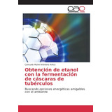 Libro: Obtención De Etanol Con La Fermentación De Cáscaras D