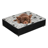 Cama Box Pet Caminha Para Cachorro E Gato