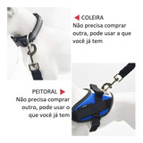 Cinto De Segurança Pet Para Cachorro E Gato Universal Cães Cor Azul