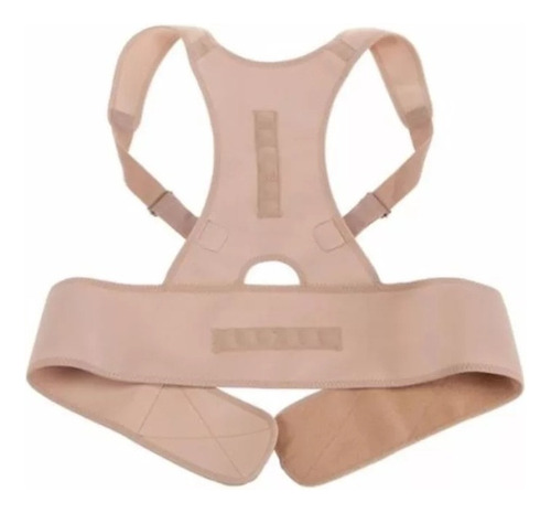 Faja Corrector De Postura Ajustable Unisex