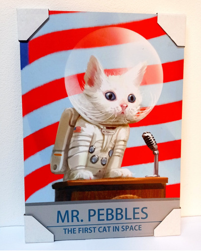 Mr Pebbles 2018 Fallout Bethesda First Cat In Space