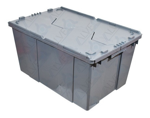 Caja Organizadora 60-32 Con Tapa De Bisagra Capacidad 30 Kg