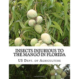 Insects Injurious To The Mango In Florida Farmers Bulletin 1