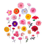 Stickers De Flores Transparente Impresas Scrapbooking X 30