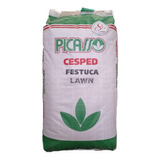 Semilla Cesped Festuca Alta Arundinacea Sombra 25kg Picasso