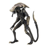 Alien 7  Scale Figures Chrysalis Alien (neca)
