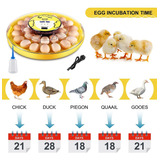 Sailnovo Egg Incubator, 30 Eggs Hatcher Poultry Hatching Mac